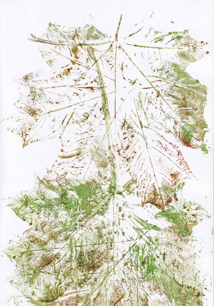Autumn Leaf Impressions by Maira Ribena — canvas wall art