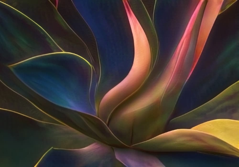 Vibrant Agave Glow by Robin Wechsler — canvas wall art