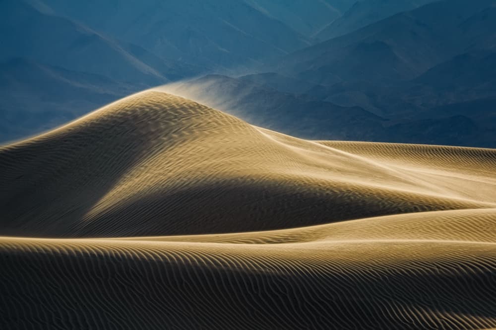 Golden Desert Dunes by Benton Murphy — canvas wall art
