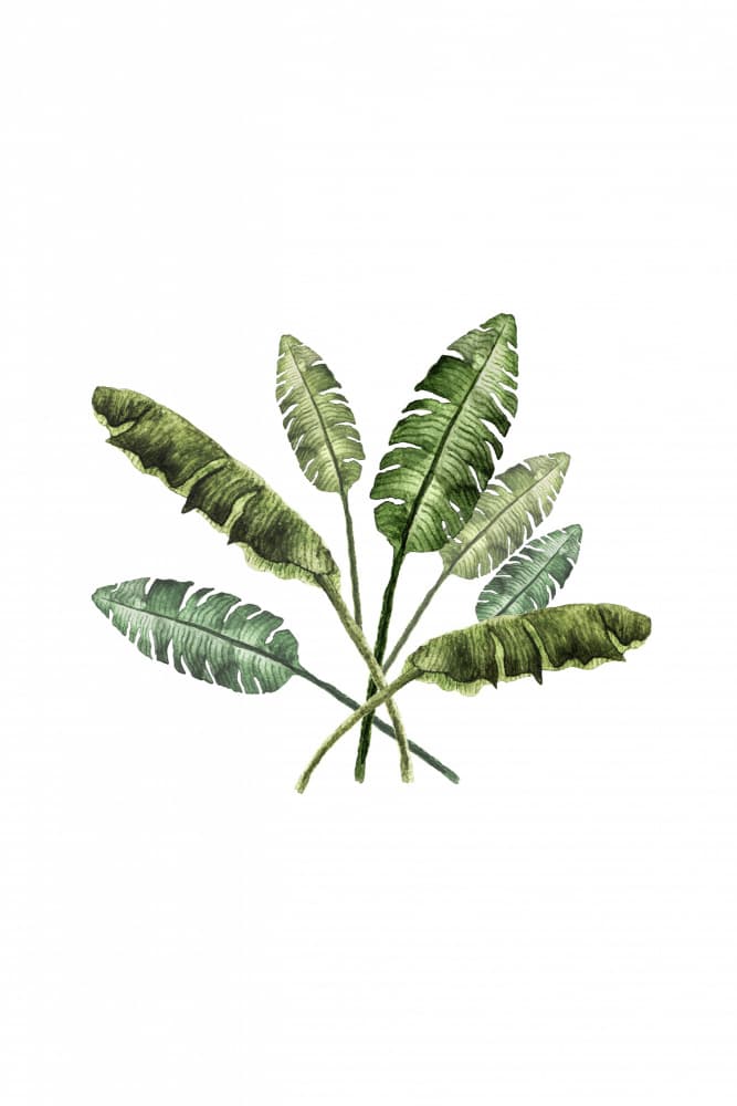 Vibrant Tropical Leaves by Karen Menzenbach — canvas wall art