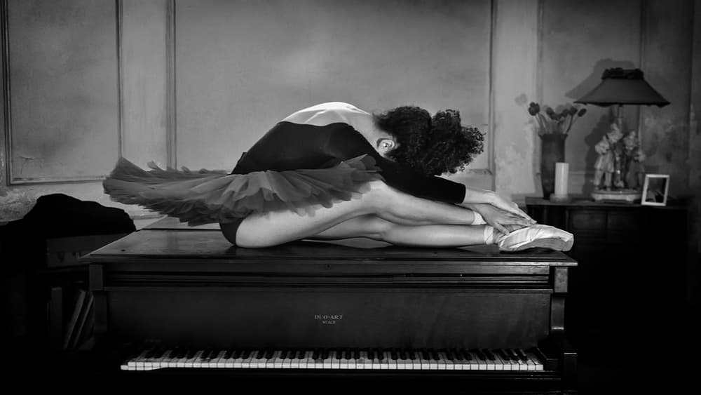 Ballerina Piano Stretch by Joan Gil Raga — canvas wall art