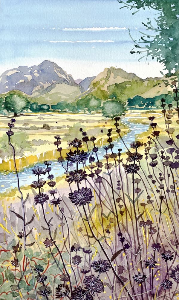 Mountain River Wildflowers by Luisa Millicent — canvas wall art