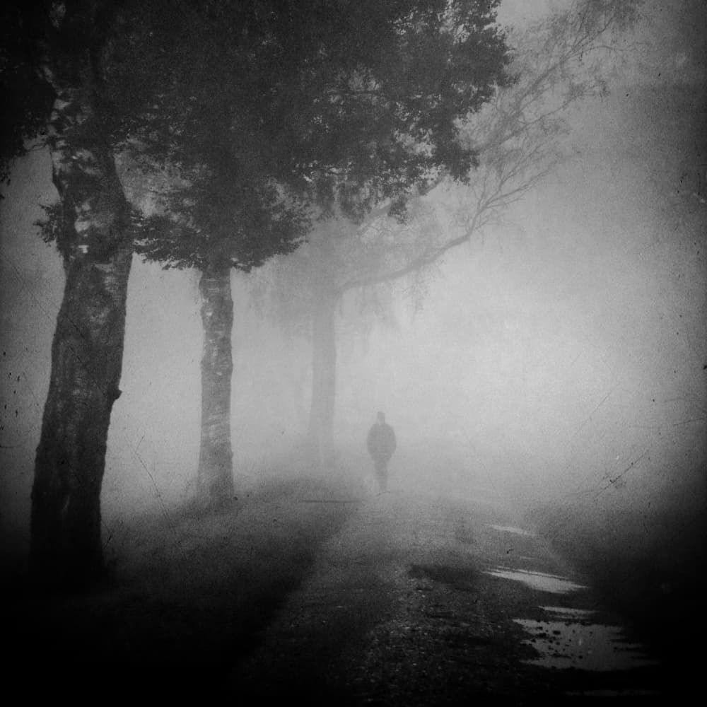Solitary Walk in Fog by Renate Wasinger — canvas wall art
