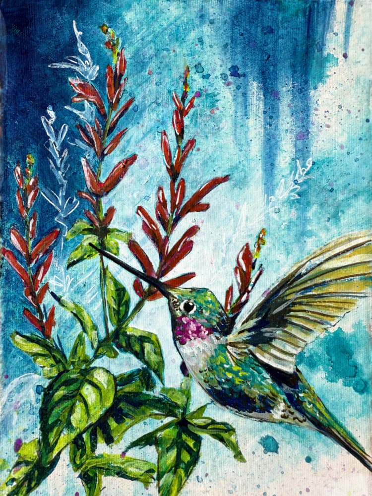 "Hover" Hummingbird and Pineapple Sage Flowers By Renee Machan by Renee Machan Cottagecore Artist — canvas wall art