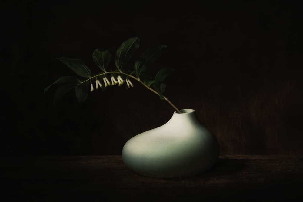 Delicate Bloom Dark Still Life by Saskia Dingemans — canvas wall art