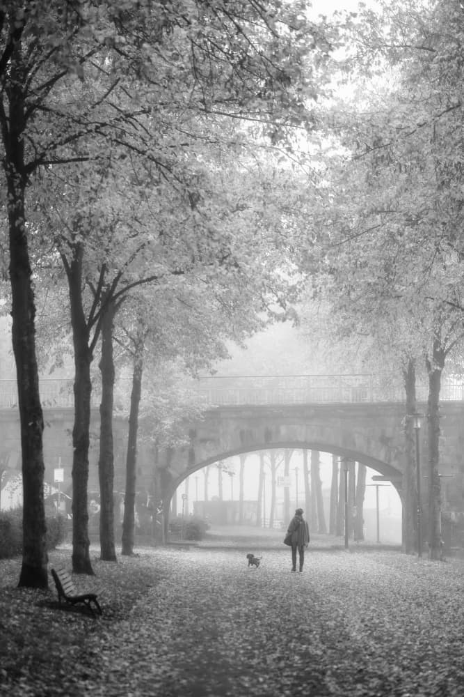 Foggy Morning Walk by Eiji Yamamoto — canvas wall art