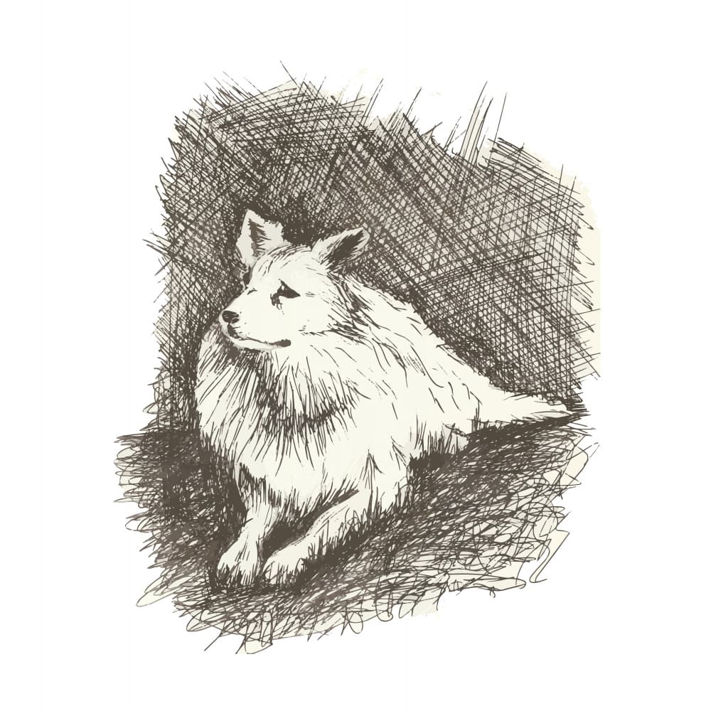 Resting Dog Sketch by Marika Barsrsind β canvas wall art
