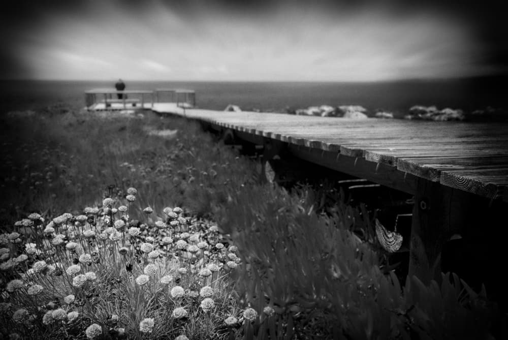 Coastal Pier Solitude by Nuno Borges — canvas wall art