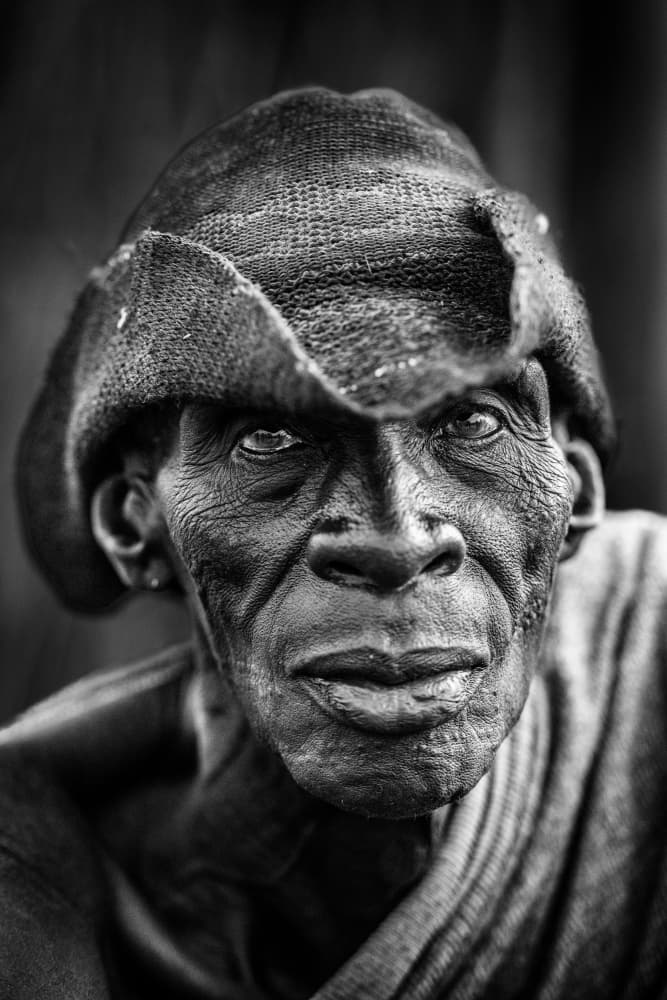 Wise Elder Gaze by Trevor Cole — canvas wall art