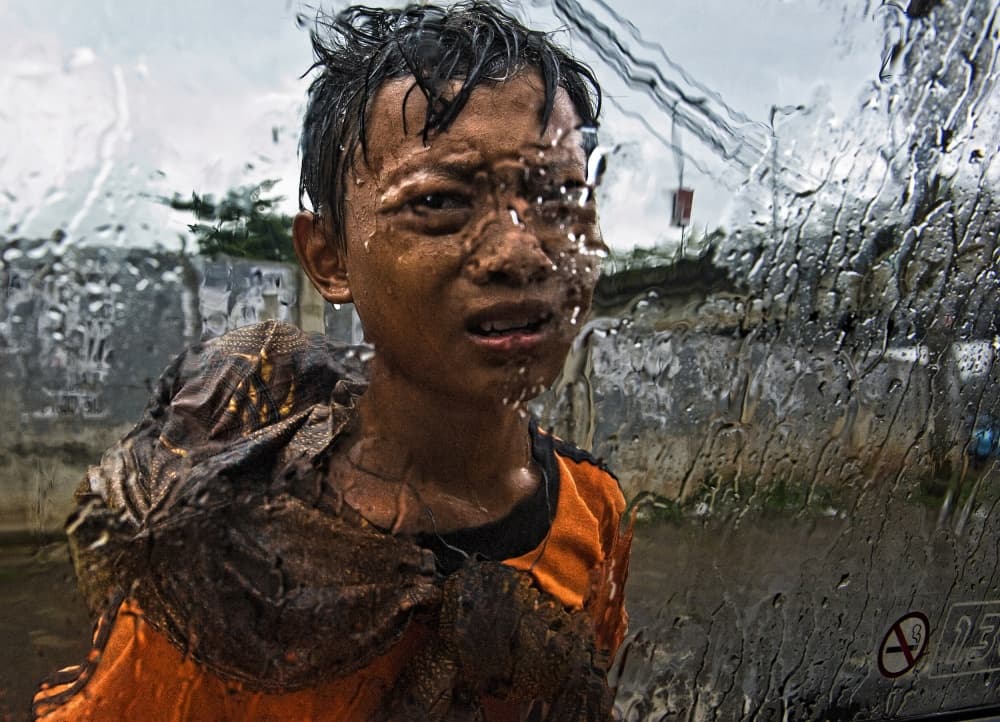Boy and Lizard in Rain by Joxe Inazio Kuesta Garmendia — canvas wall art
