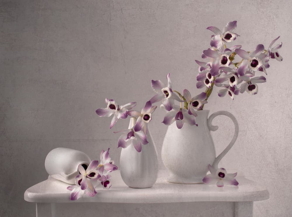 Delicate Orchid Still Life by Margareth Perfoncio — canvas wall art