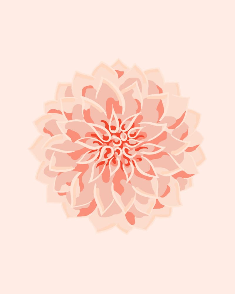 Soft Peach Dahlia by Dana Ďuričeková — canvas wall art