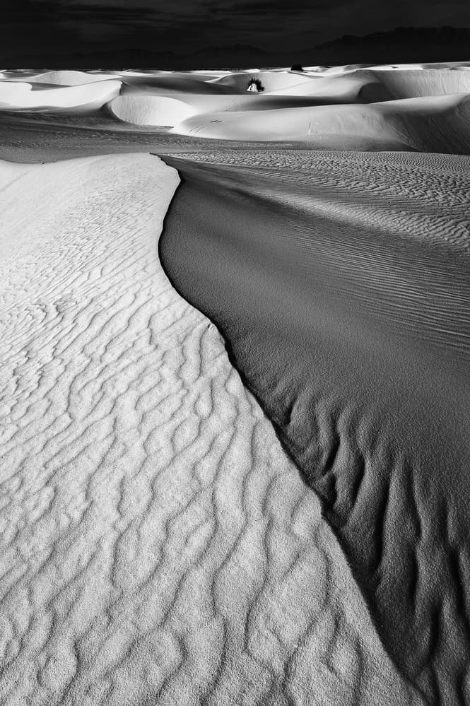 Contrasting Desert Dunes by Lydia Jacobs — canvas wall art