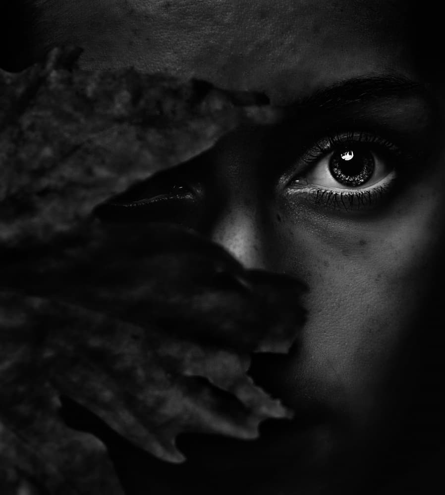Intense Eye Behind Leaf by Vasil Nanev — canvas wall art