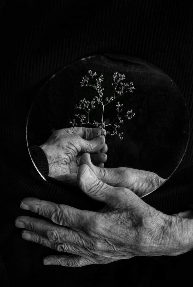 Old Hands Delicate Bloom by Ingrida Urbonavičienė — canvas wall art