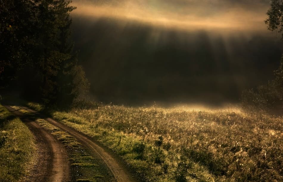 Misty Morning Road by Allan Wallberg — canvas wall art