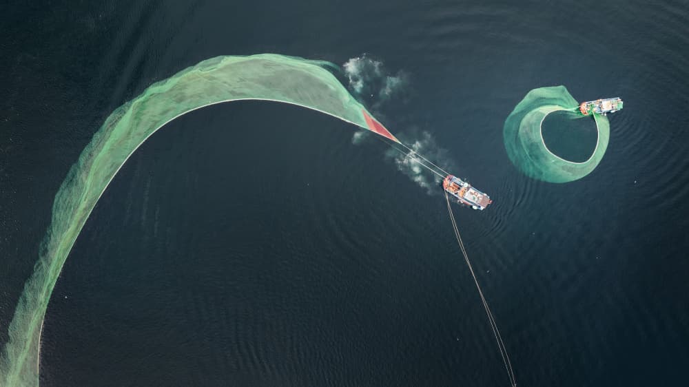 Ocean Fishing Net by Nguyen Tan Tuan — canvas wall art