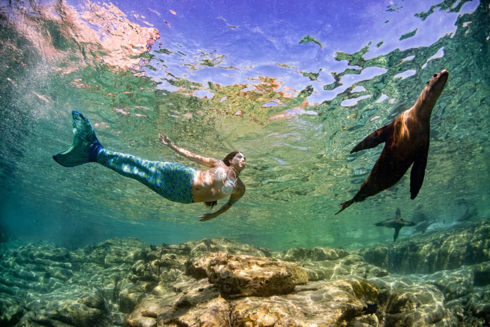 Mermaid Swimming With Sea Lion by Andrea Izzotti — canvas wall art