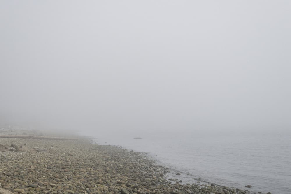 Misty Pebble Shore by Lynann Colligan — canvas wall art