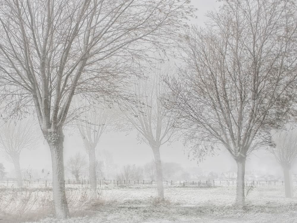 Misty Winter Landscape by Yvette Depaepe — canvas wall art