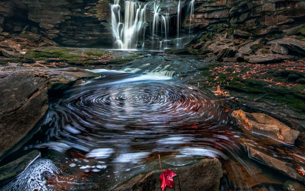 Red Leaf Waterfall Swirl by Ken Liang — canvas wall art