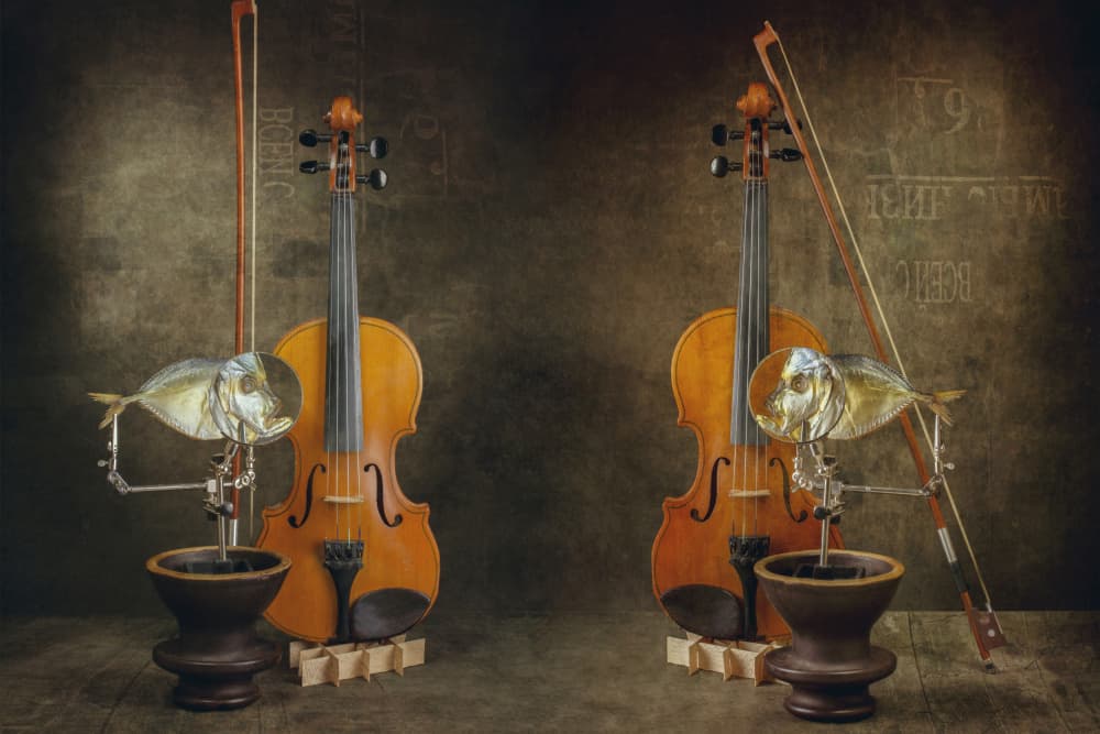 Concert by Brig Barkow — canvas wall art