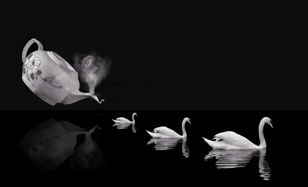 Surreal Swans and Teapot by Peter Hammer — canvas wall art