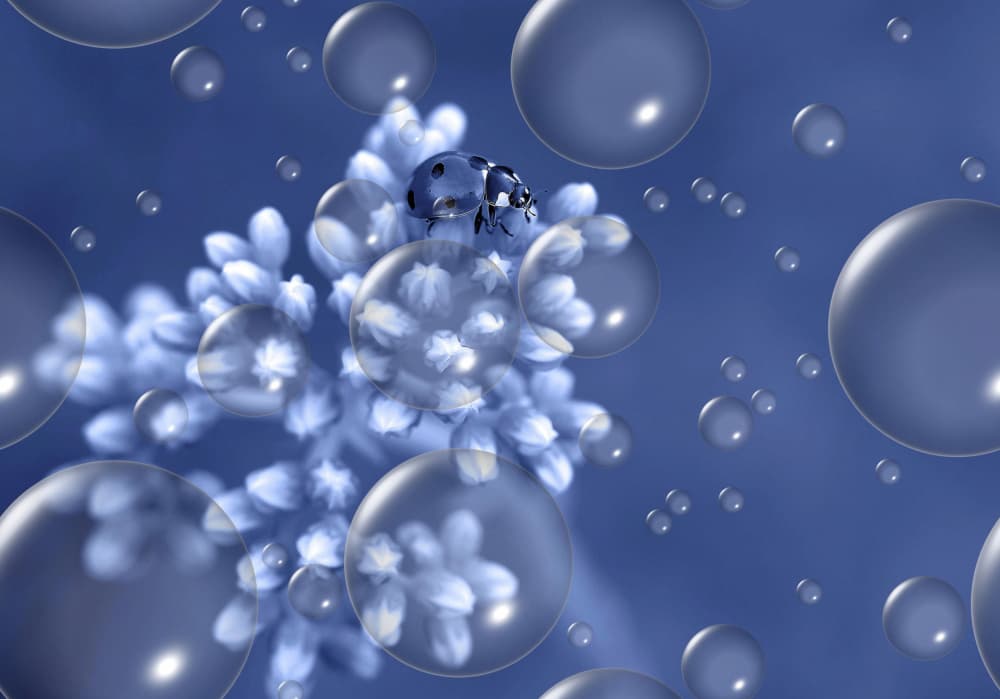 Blue Ladybug Bubbles by Thierry Dufour — canvas wall art