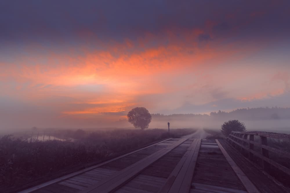 Misty Morning Path by Dariusz Budyta — canvas wall art