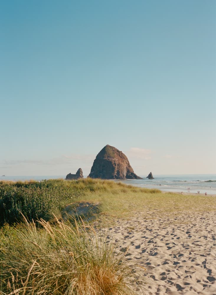 Sunny Coastal Sea Stack by Bethany Young — canvas wall art