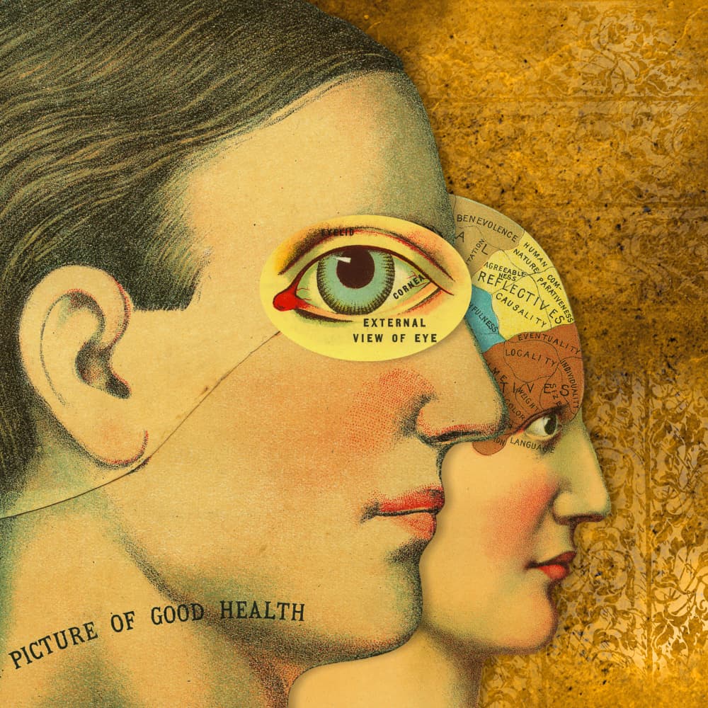 Good Health Phrenology by Marja van den Hurk — canvas wall art