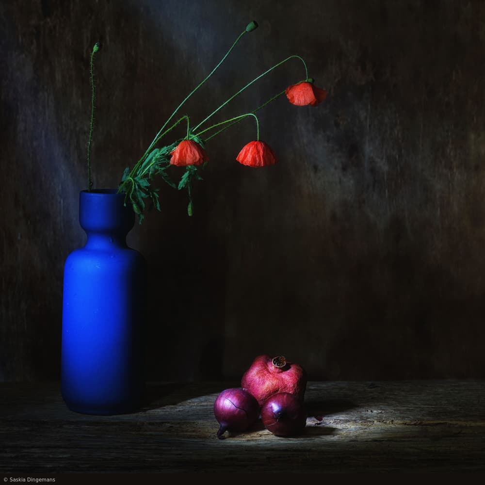 Moody Poppies Still Life by Saskia Dingemans — canvas wall art