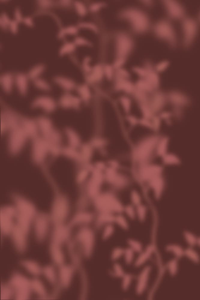 Soft Botanical Shadows by THE MIUUS STUDIO — canvas wall art
