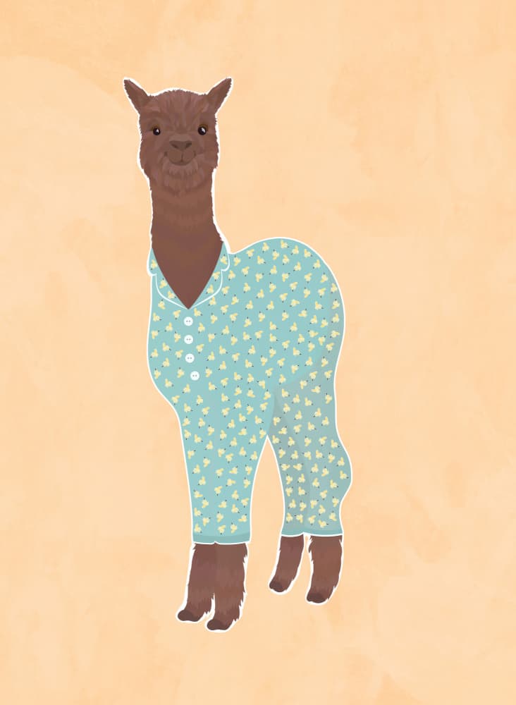 Cozy Alpaca Pajamas by Sarah Manovski — canvas wall art