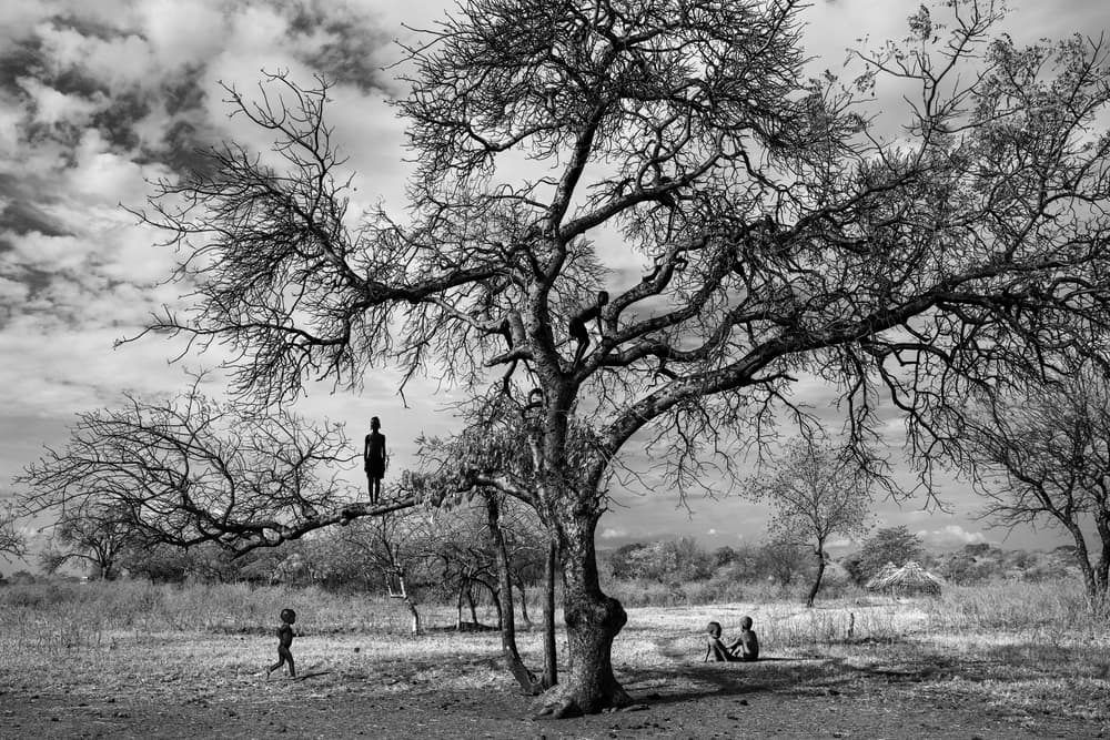 African Tree Kids by Svetlin Yosifov — canvas wall art