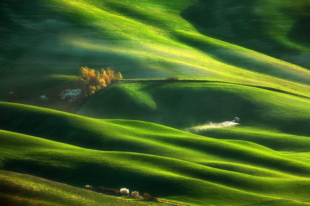 Green Hills Golden Light by Krzysztof Browko — canvas wall art