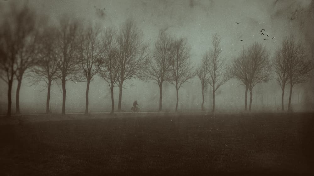 Solitary Ride Through Fog by Jacob Tuinenga — canvas wall art