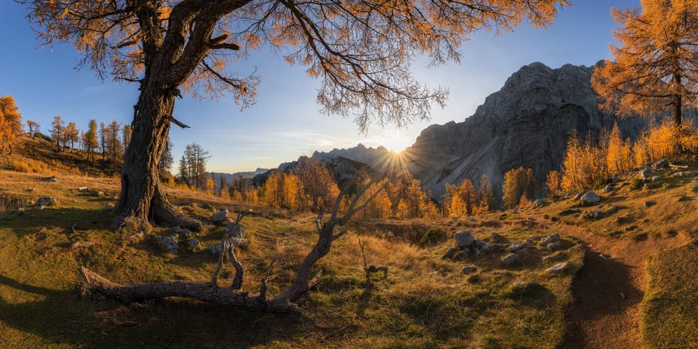 Golden Autumn Mountain Path by Ales Krivec — canvas wall art