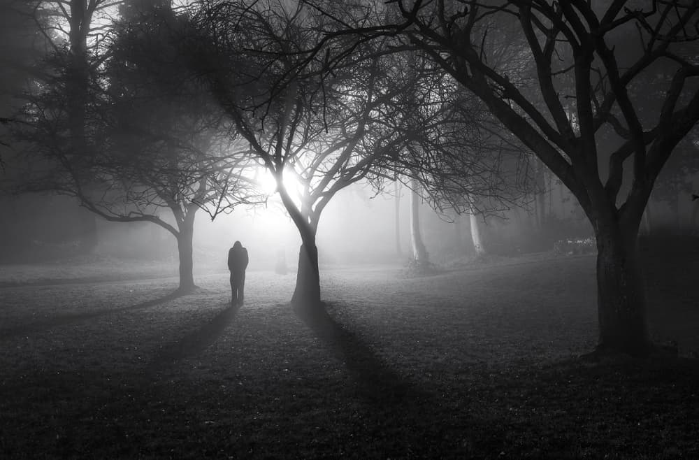 Lone Figure Misty Trees by Yavuz Pancareken — canvas wall art