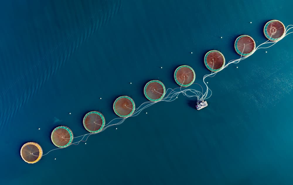 Ocean Aquaculture Circles by Wei (David) Dai — canvas wall art