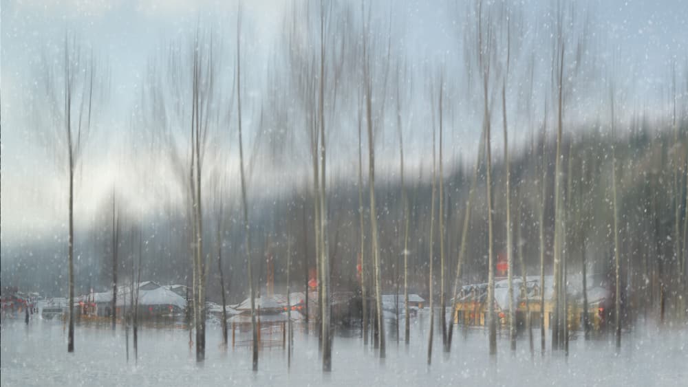 Dreamy Winter Woods by Leeian Dai — canvas wall art