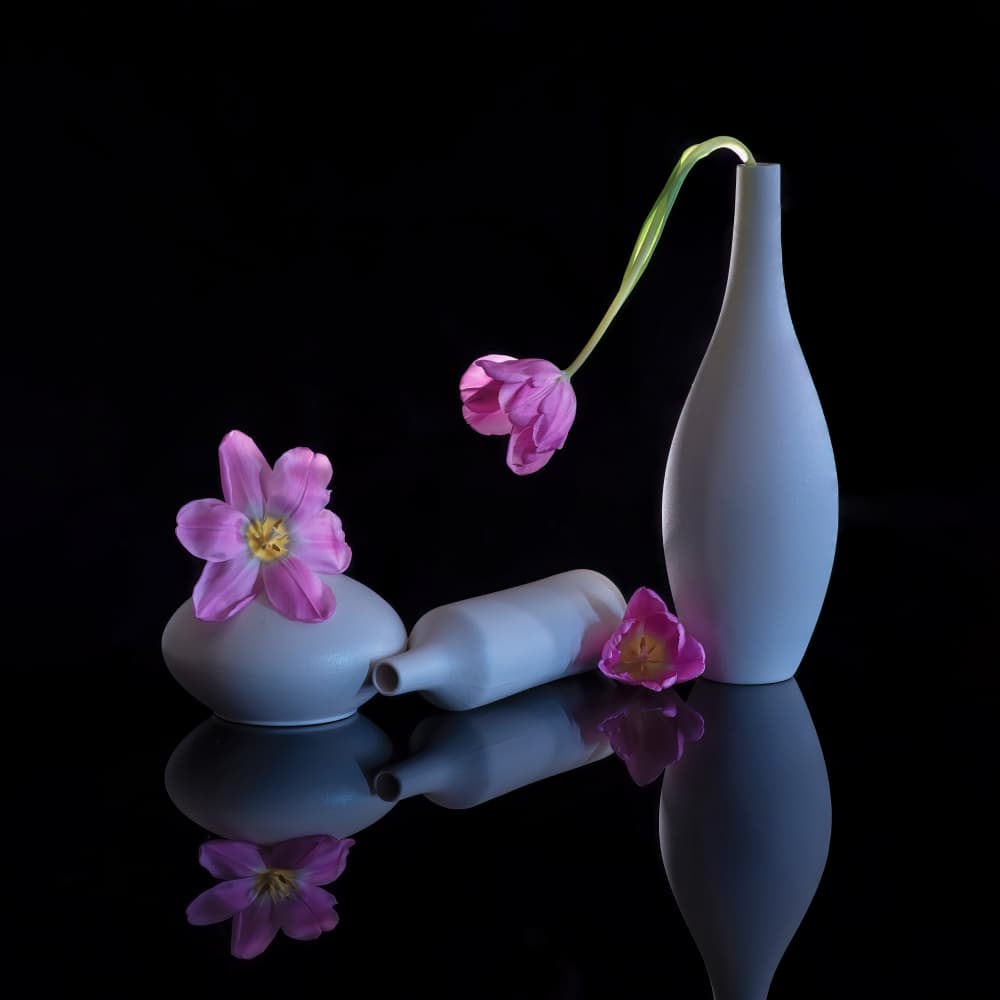 Reflected Purple Tulips by Alice Sheng — canvas wall art
