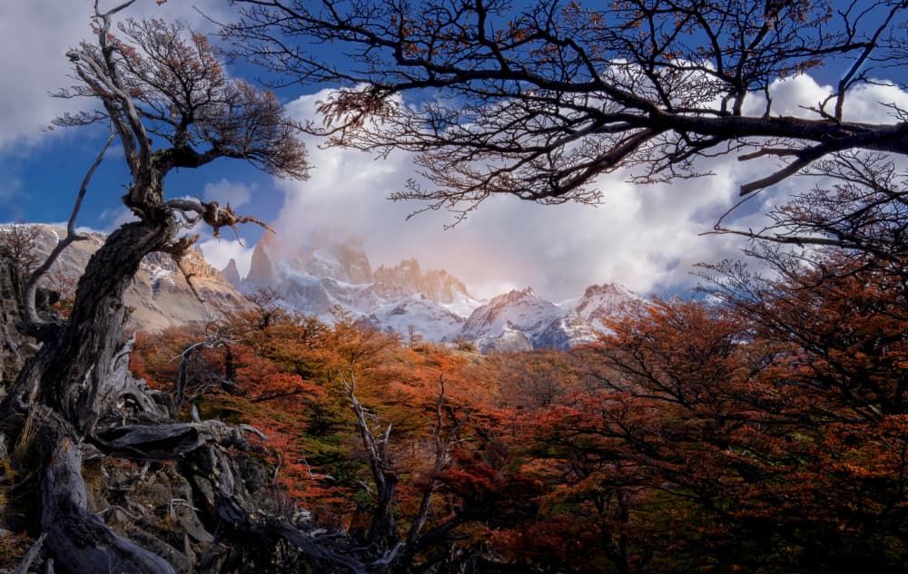 Autumn Fitz Roy Mountain View by Yuan Su — canvas wall art