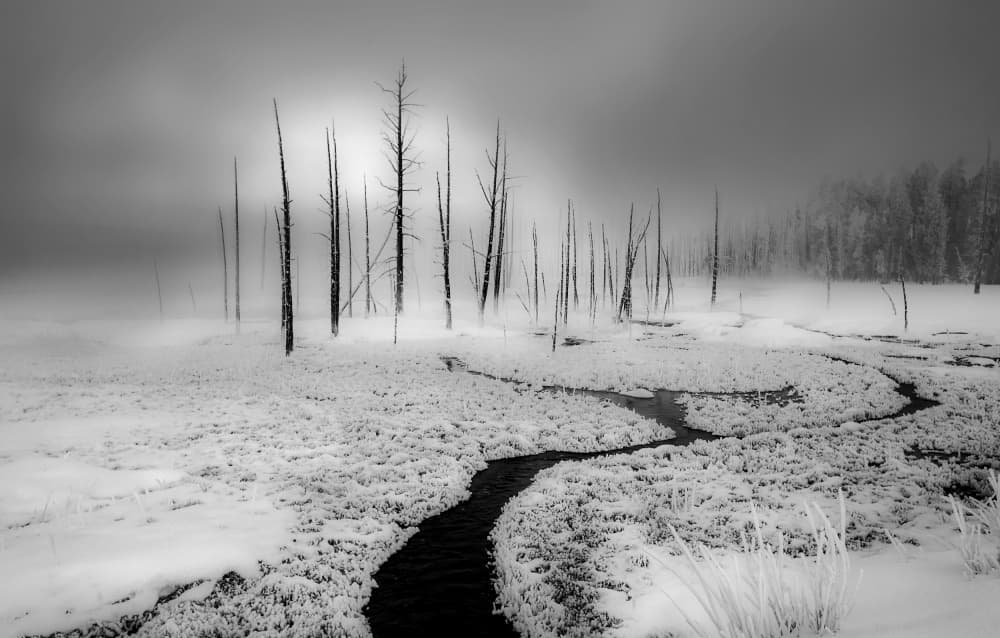 Misty Winter Stream by ANNA AN — canvas wall art