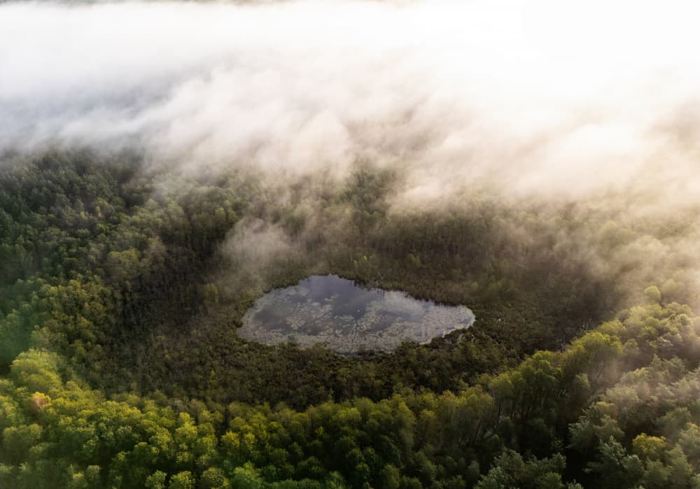 Golden Morning Lake Fog by Leszek Paradowski — canvas wall art