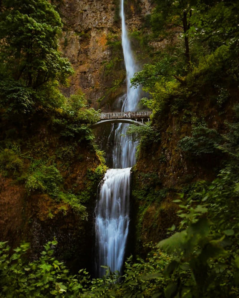 Majestic Forest Waterfall by Del Mundo Imagery — canvas wall art