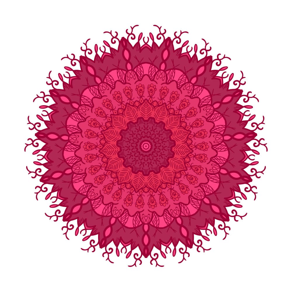 Vibrant Pink Mandala by Marika Barsrsind β canvas wall art