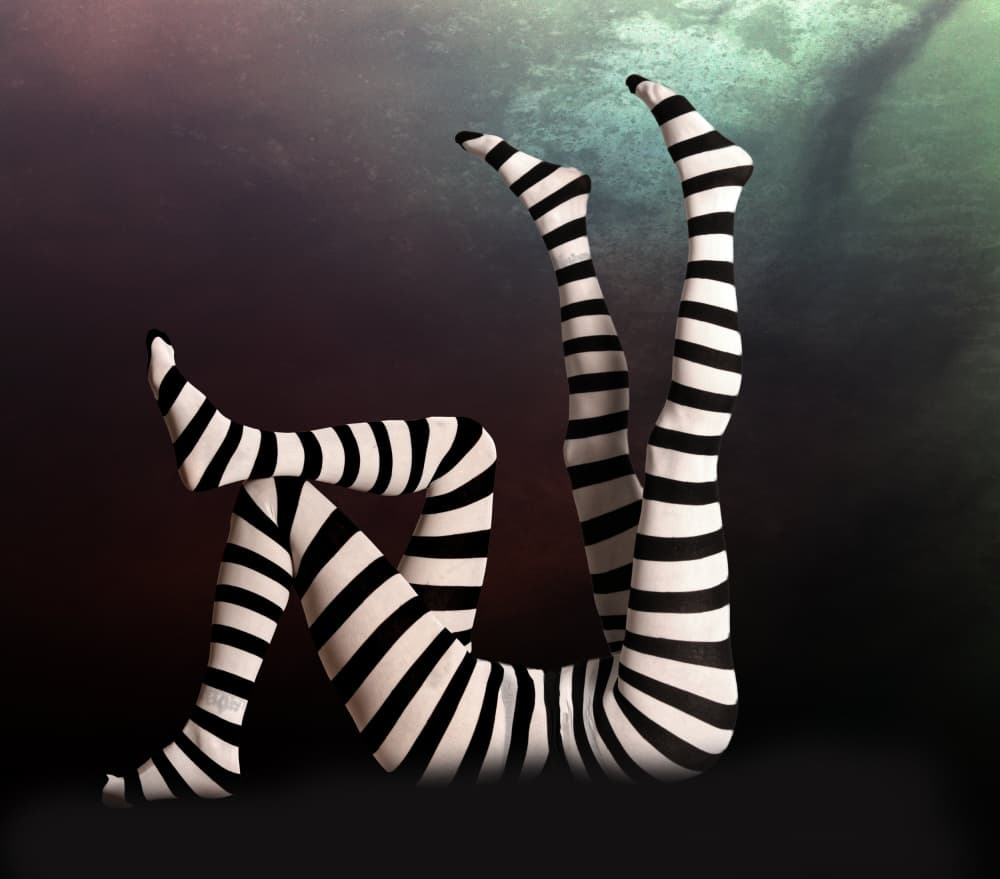 Whimsical Striped Legs by Erhard Batzdorf — canvas wall art