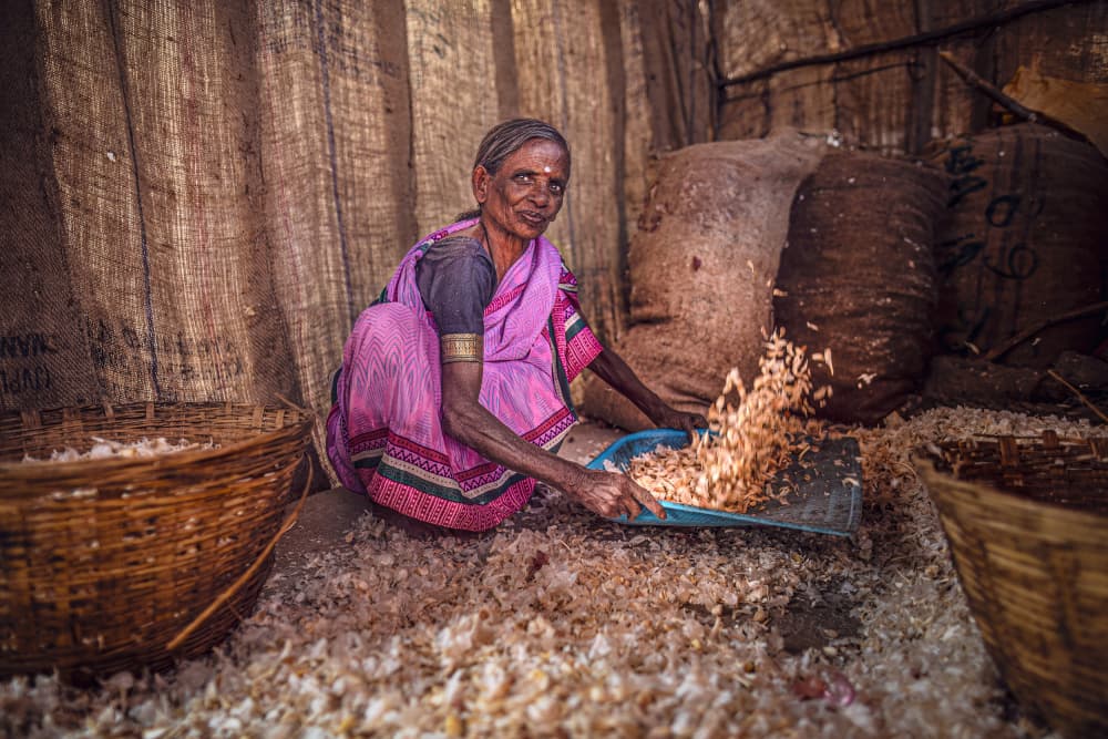 Sorting Garlic Woman by Marco Tagliarino — canvas wall art