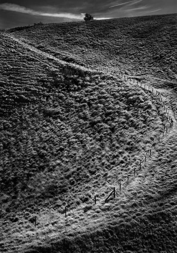 Winding Hillside Fence Line by Clive Collie — canvas wall art